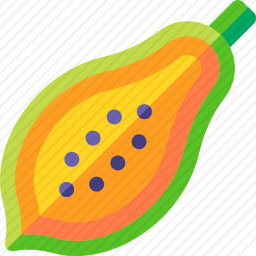番木瓜图标