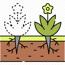 植物图标