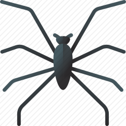 水蜘蛛图标