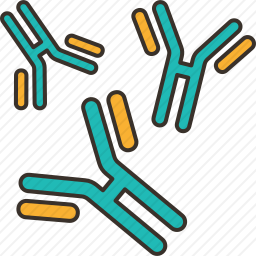 抗体图标