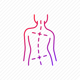 脊柱图标