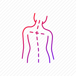 脊柱图标