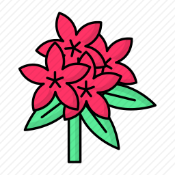 <em>杜鹃</em>图标