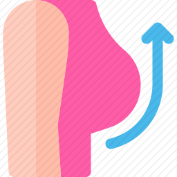 乳房固定术图标