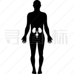 人体臀部骨骼在站立的男性身体内黑色轮廓图标