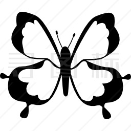 蝴蝶顶视图设计图标