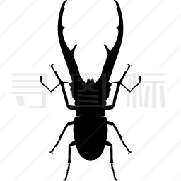 昆虫黄斑甲虫形状图标