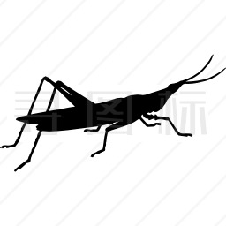 蟋蟀的昆虫形态图标
