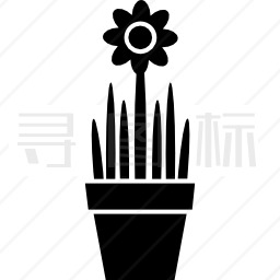 花卉盆栽用于室内装饰图标