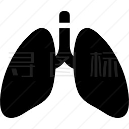 肺器官图标