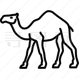 骆驼行走图标