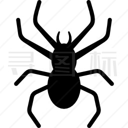 毒蜘蛛图标