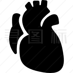 解剖心脏图标