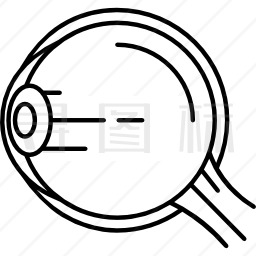眼球结构图标