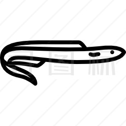 大海鳗图标