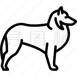 喜乐蒂牧羊犬图标