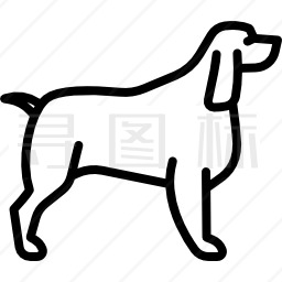 斯普林格猎犬图标