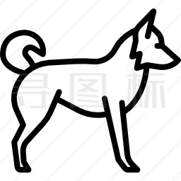 边境牧羊犬图标