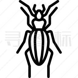 金甲虫图标