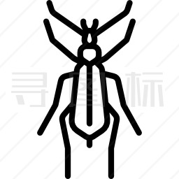 红甲虫图标