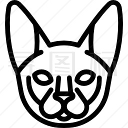 秃顶猫图标