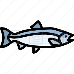 鲑鱼图标