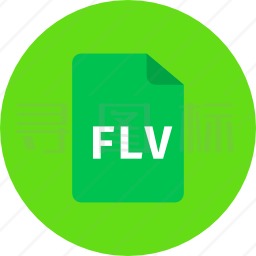 FLV图标