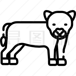 猎豹图标