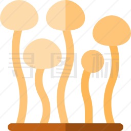 金针菇图标