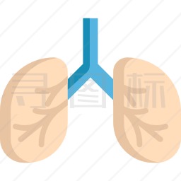 肺图标