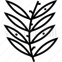 草本植物图标
