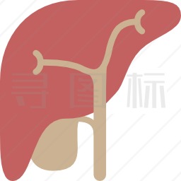 肝脏图标