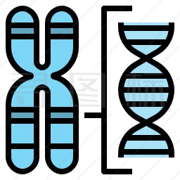 染色体图标