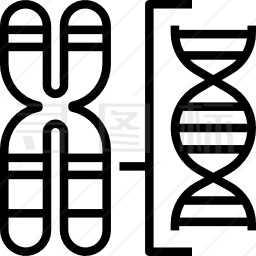 染色体图标