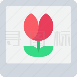 照片图标