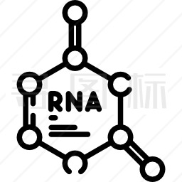 RNA图标