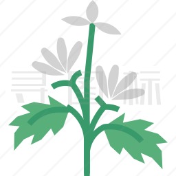 草本植物图标