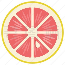 柚子图案符号图片