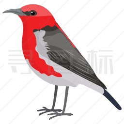 红胸啄木鸟图标