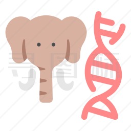大象DNA图标