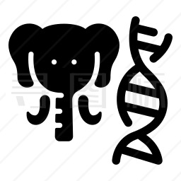 大象DNA图标