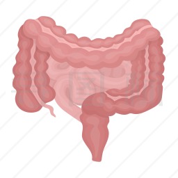 肠道图标