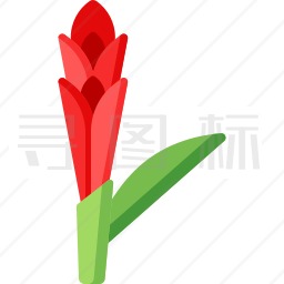 花图标