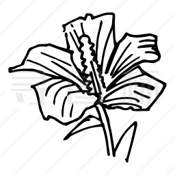 花朵图标