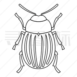 马铃薯甲虫图标