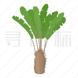 芭蕉树图标