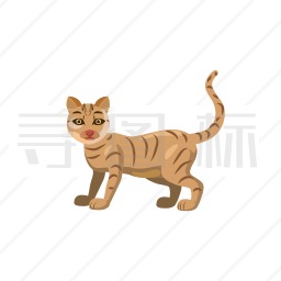 猫图标