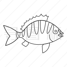 条纹豆娘鱼图标