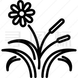野生花卉图标