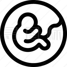 胚胎发育图标